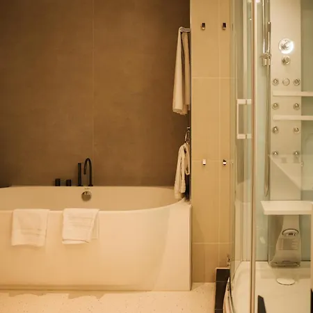 Hotel Hotel&spa Savarin 5*